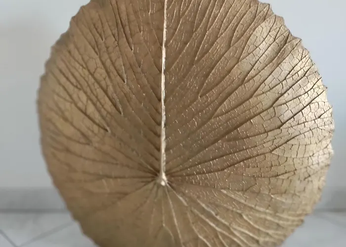 Residenza Bacchelli Διαμέρισμα *